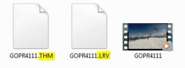 GoPro .THM und .LRV Dateien